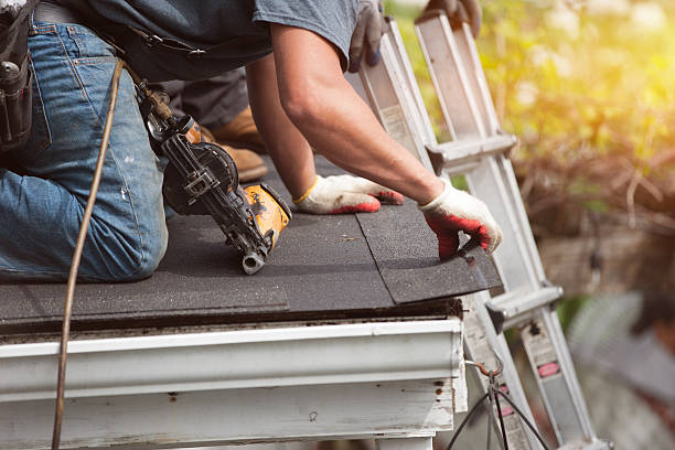 Best Roof Leak Repair  in Long Lake, IL